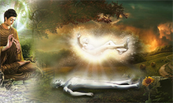 Con người sinh ra từ đâu đến và chết đi về đâu