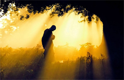 Cuộc đời là bể khổ, phồn hoa ngắm mãi cũng thành hư không