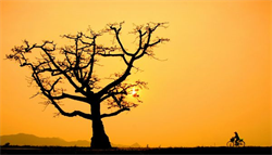 Kiếp người vô thường ngắn ngủi, không có gì là mãi mãi, tất cả chỉ là phù du