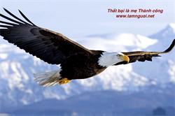 Thất bại là mẹ thành công, là bài học sâu sắc nhất của thành công