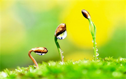 Triết lý cá nhân là yếu tố quyết định đến cuộc sống của bạn