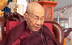 Tinh tấn tu tập để giác ngộ giải thoát