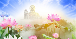 Vô thường và cái chết, đó là sự thật đương nhiên