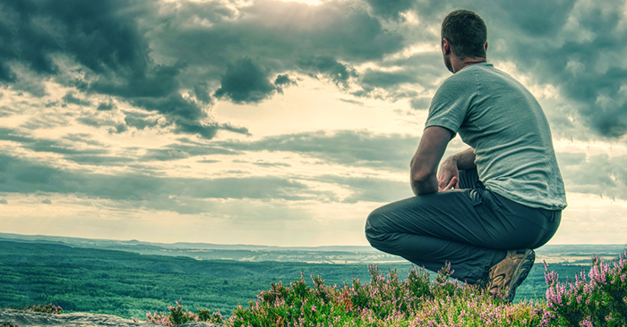 Định luật Tre, Định luật của sự thành công: Định luật đơn giản thay đổi cuộc đời hàng triệu người