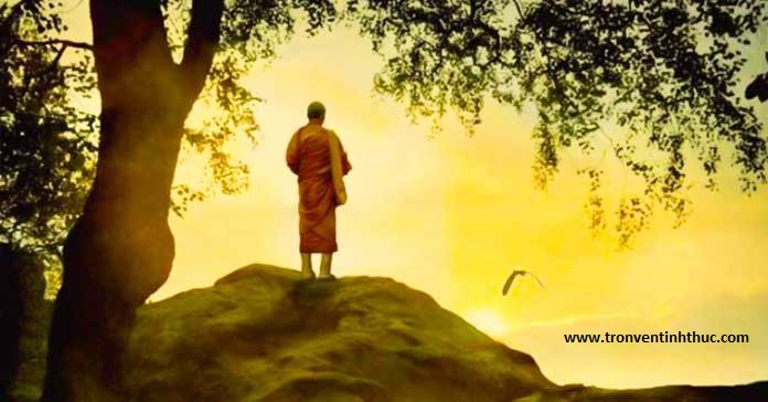 Vì sao Tham Sân Si lại tạo nghiệp đẩy chúng sanh đi luân hồi sinh tử