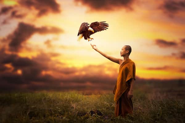 Kinh nghiệm sống về luật đền bù phúc báo cho những ai ăn ở hiền lành 