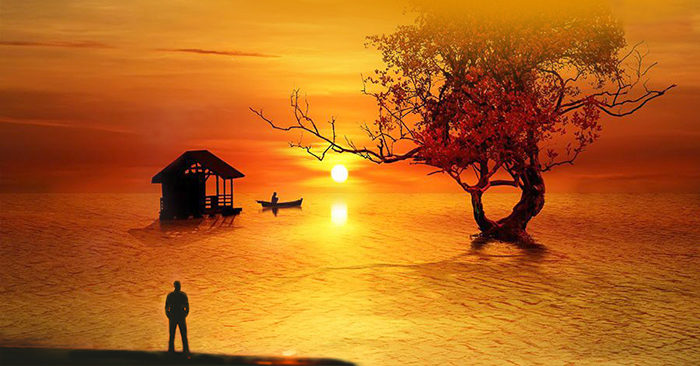 nhân quả luân hồi theo thập nhị nhân duyên, vòng luân hồi của đời người