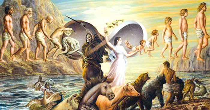 Linh hồn đầu thai như thế nào và 6 cõi đầu thai chuyển kiếp của con người