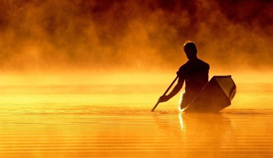 ở hiền gặp lành, gieo gió gặt bão