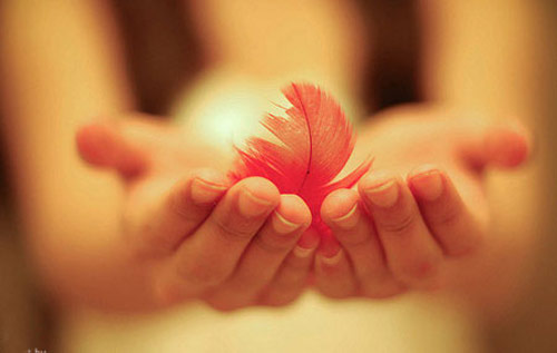 Cuộc sống này mong manh vô thường, bạn có thể chết bất cứ lúc nào