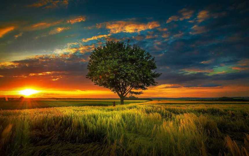 Hãy sống là chính mình và làm điều mình yêu thích nhất