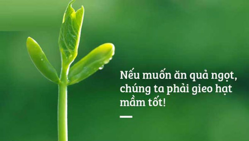 Luật nhân quả trong cuộc sống, bạn sống gieo nhân nào thì sẽ gặt lại quả nấy