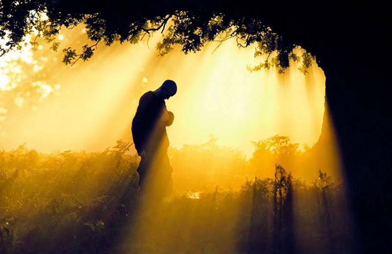 Cuộc đời là bể khổ, phồn hoa ngắm mãi cũng thành hư không