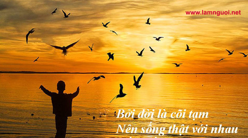 Cuộc đời là cõi vô thường cõi tạm, tiền tài danh vọng rồi cũng tan