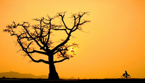 Kiếp người vô thường ngắn ngủi, không có gì là mãi mãi, tất cả chỉ là phù du