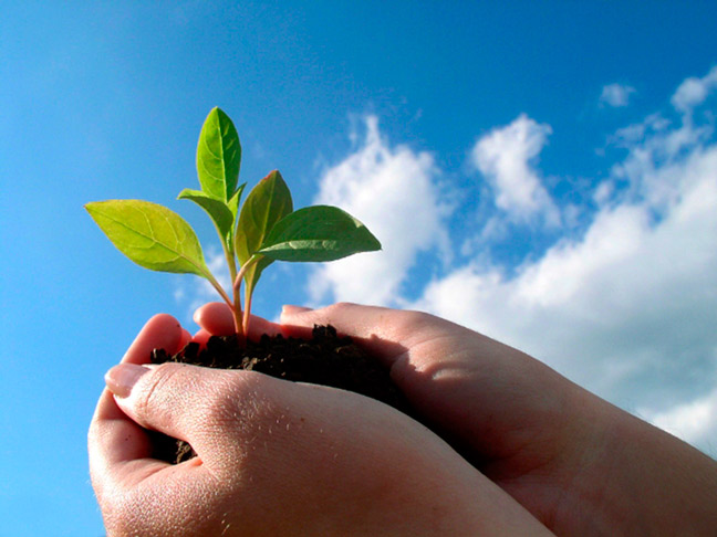 Luật nhân quả báo ứng ở đời trong cuộc sống