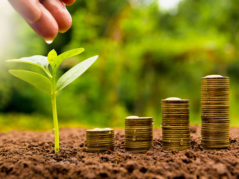 Bí quyết nguyên tắc làm giàu từ hai bàn tay trắng