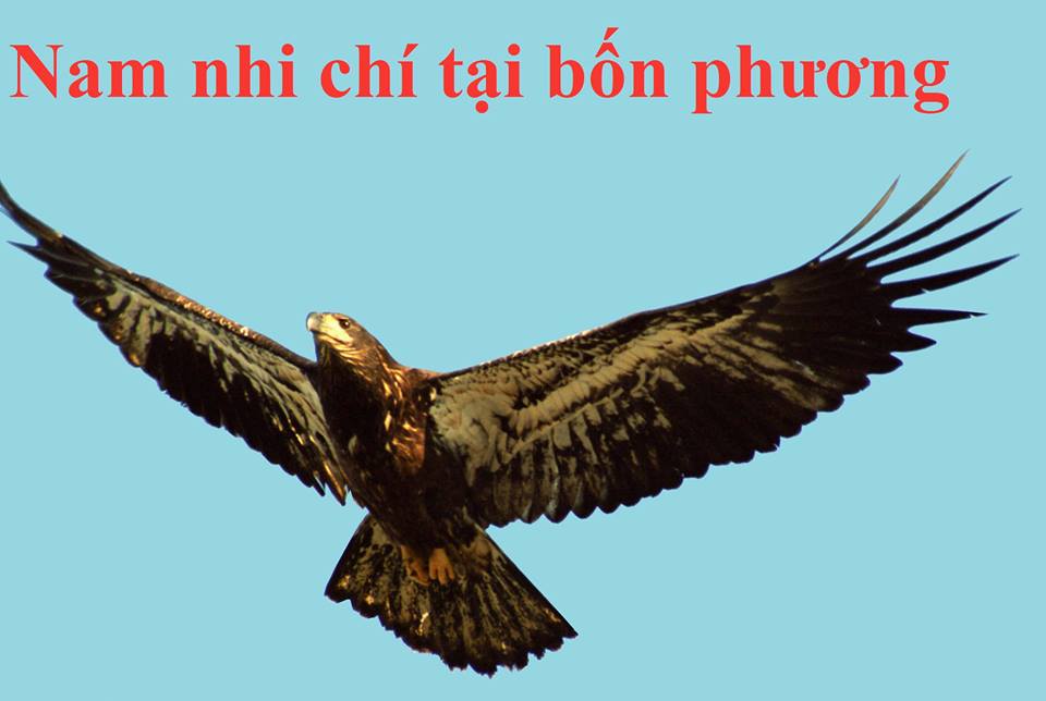 Nam nhi chí tại bốn phương, đầu đội trời chân đạp đất